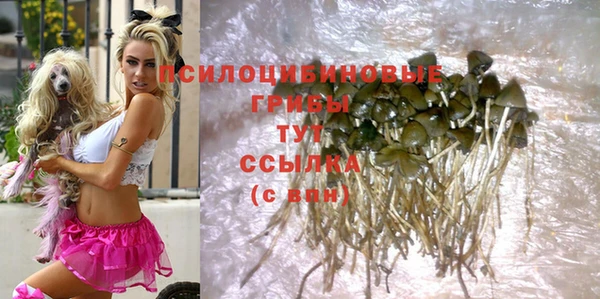 ешки Осташков