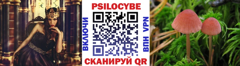 Псилоцибиновые грибы ЛСД  Купить где  Петропавловск-Камчатский 